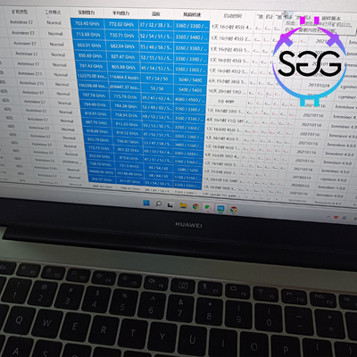 Ethereum μηχανών μεταλλείας Asic Antminer E7 κ.λπ. Bitmain 800Mh 1300W ETChash